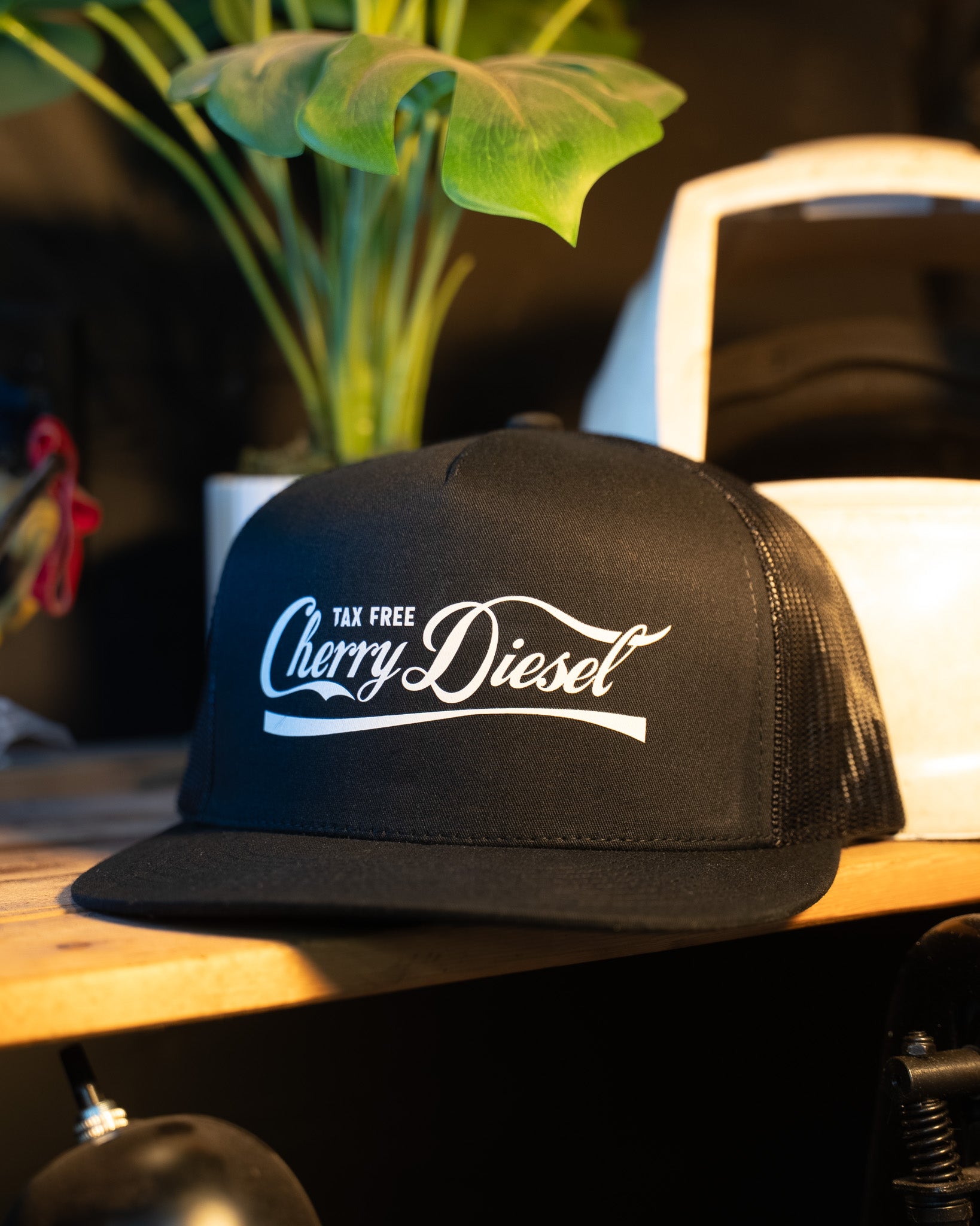 CHERRY DIESEL : SNAPBACK