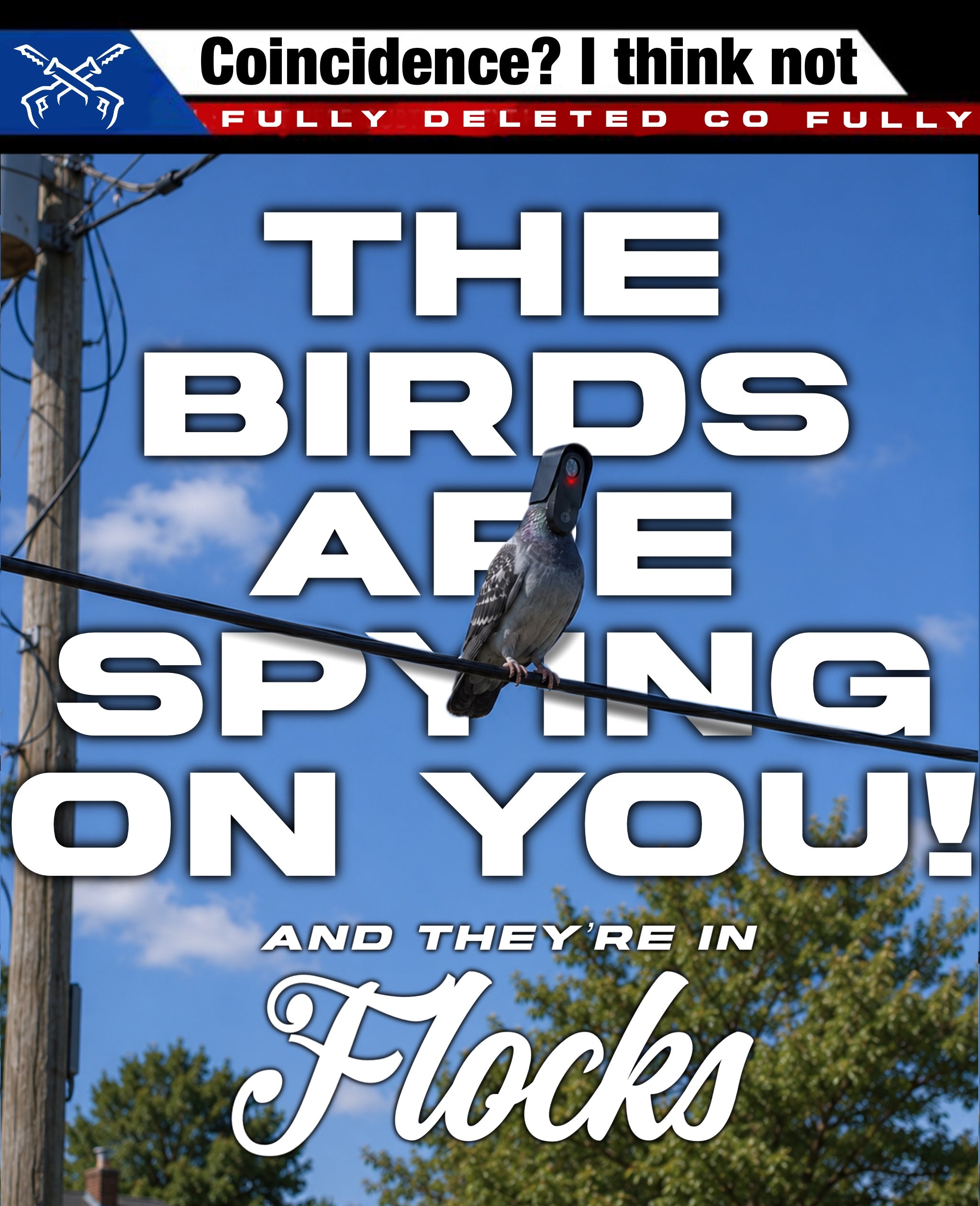 FLOCK THIS : DECAL : 9"X 5"