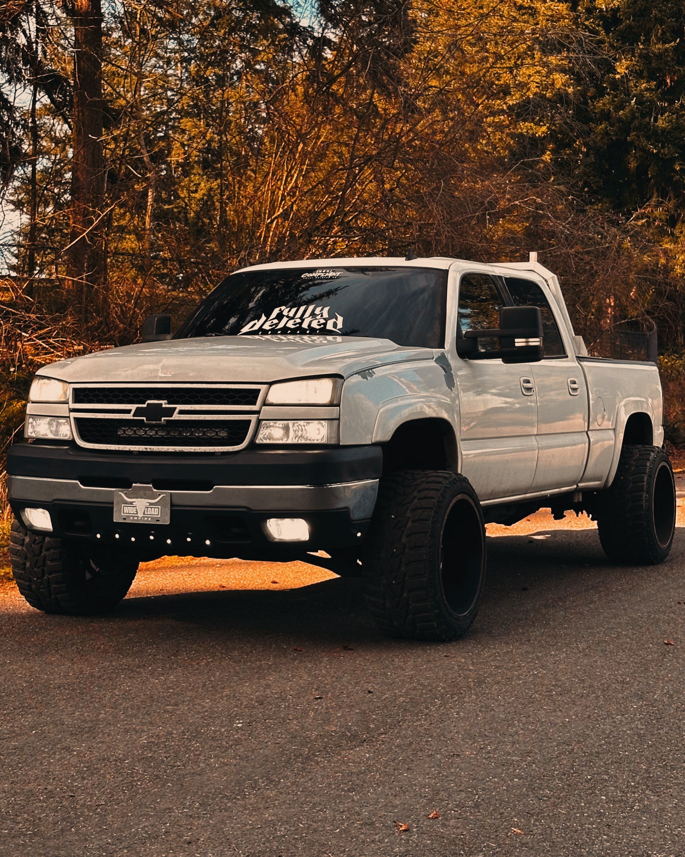FULLY DELETED : LOWER WINDSHIELD BANNER