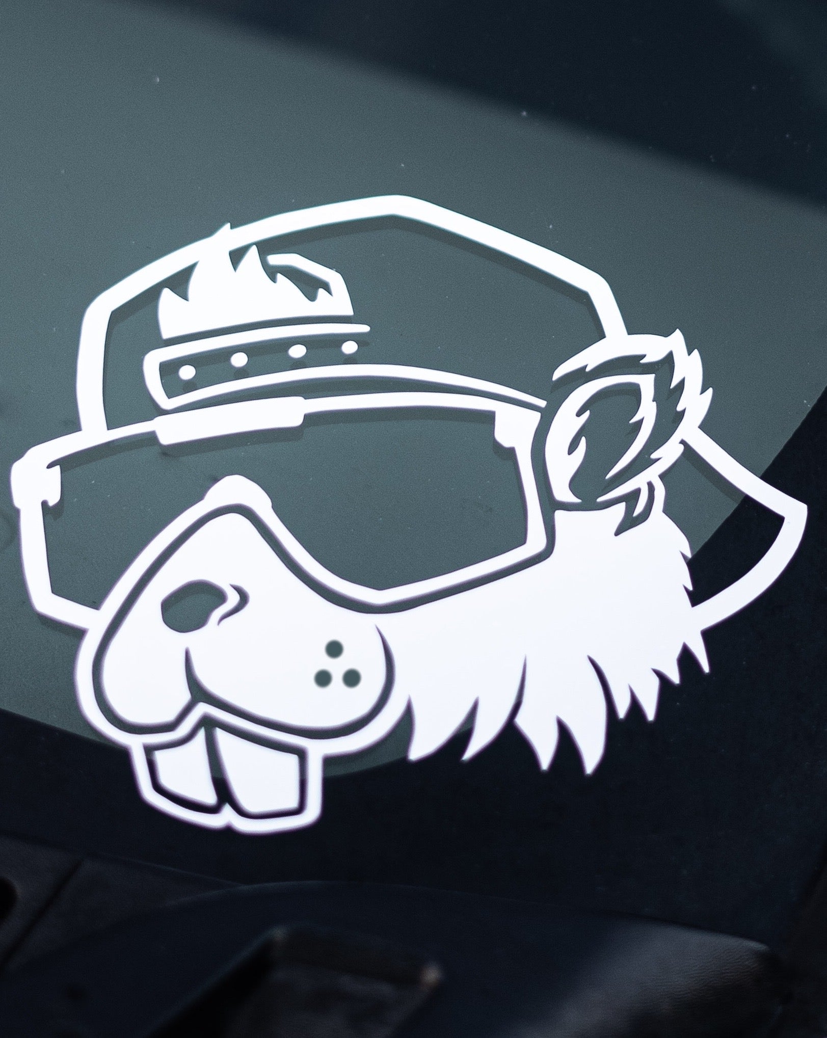 CHUCKY'S CHOP SHOP : DECAL